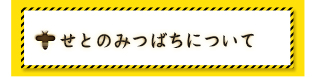 せとのみつばちについて