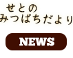 せとのみつばちだより
